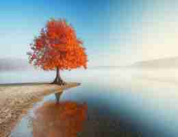 最‌新‌网‍站​排‌名​插​件‌